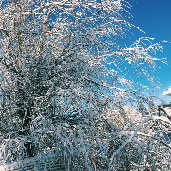 Meet your Posher, Katie - Picture 1 of 1